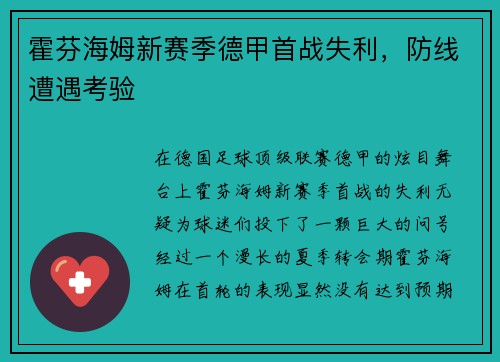 霍芬海姆新赛季德甲首战失利，防线遭遇考验